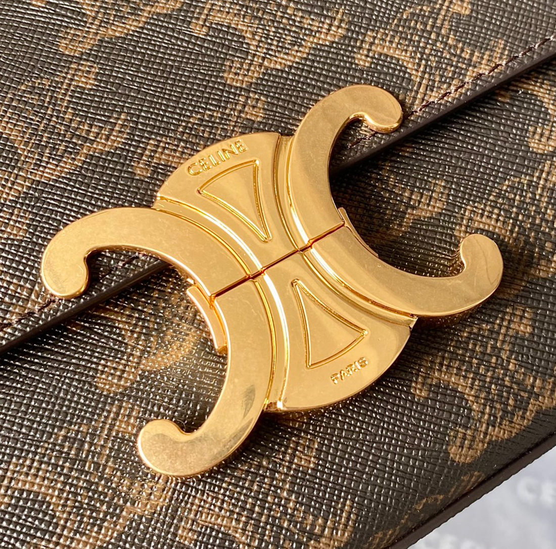 Shoulder Bag In Triomphe Canvas And Calfskin